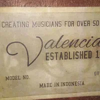 گیتار الکترو اکوستیک والنسیا|گیتار، بیس، امپلیفایر|تاکستان, |دیوار