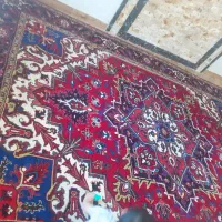 فرش هریس تاجری|فرش|تبریز, |دیوار