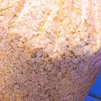 جوی دوسر آلمانی