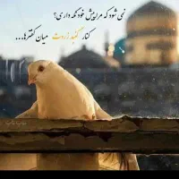 تور زیارتی مشهد مقدس با مهر آذین پرواز عالی قاپو*