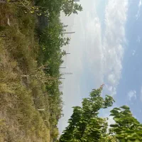 فروش باغ ۲۵۰۰ متری در گلبهار
