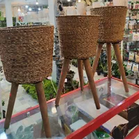 استند پایه گلدان دور حصیری سه تایی شفلرا آگلونما|گل و گیاه طبیعی|قم, نیروگاه|دیوار