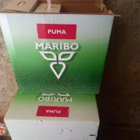 15عددبذرچغندرپوما|عمده‌فروشی|بشاریات, |دیوار