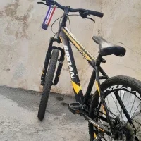 دوچرخه اسکیت