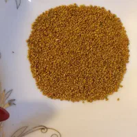 ناب|خدمات باغبانی و درختکاری|صوفیان, |دیوار