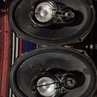 باند و دزدگیر