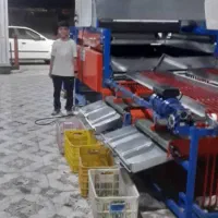 فروش دستگاه سورتینگ لیمو ترش