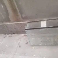 اکواریوم