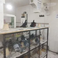 جوت قره ایاخلی اویناخ