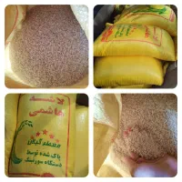 برنج لاشه هاشمی