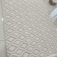 فانتز پینترسنتی