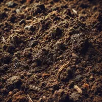 باغ و باغچه روستای حیدرلو