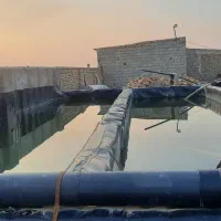 دامداری و باغ پسته|فروش دفتر صنعتی، کشاورزی، تجاری|نیشابور, ریوند|دیوار