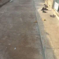 فروش مسکونی|فروش خانه و ویلا|گتوند, |دیوار