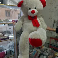 خرس شاسخین بزرگ