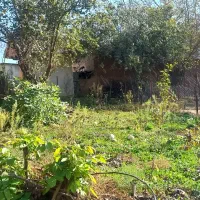 ۲۰۰متر زمین واقع در روستای چهارمحل|فروش زمین و ملک کلنگی|برهسر, |دیوار