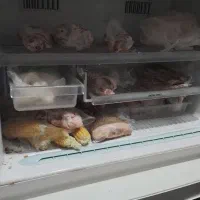 یخچال فریزر دو درب|یخچال و فریزر|مشهد, رده|دیوار