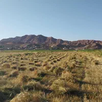 دروگر مدل۷۷ موتور ۸۷۰ایتالیایی با ۳عددجلوبندی|خودرو سنگین|تبریز, |دیوار