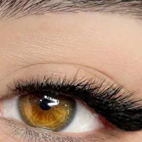 آموزش تخصصی ناخن ومژه فقط1800.خدمات کاشت ناخن ومژه|خدمات آرایشگری و زیبایی|مشهد, کارمندان دوم|دیوار