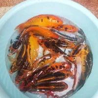 ماهی کوی باله وسوپرباله