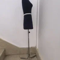 مانکن سوزن خور