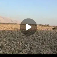 اجاره زمین کشاورزی دارالمیزان