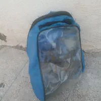 کفش اسکیت|دوچرخه، اسکیت، اسکوتر|مشهد, هفده شهریور|دیوار