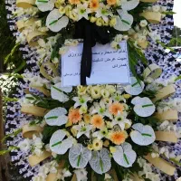 تاج گل ترحیم،  افتتاحیه ،  تزیین ماشین عروس|گل و گیاه طبیعی|رباط‌کریم, رباط‌کریم|دیوار