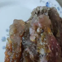 عقیق قرمز تاولی شجر بهاری شکوفه