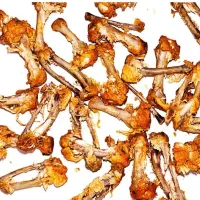 مقداری استخون گوشت مرغ تالار