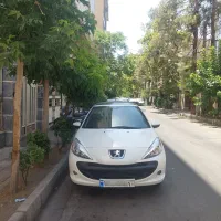 207 اتوماتیک پاناروما ارتقا۱۴۰۳ در حد