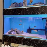 آکواریوم ماهی  پمپ هوا بخاری تاپ فیلتر