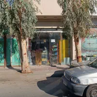 مغازه-فروشی