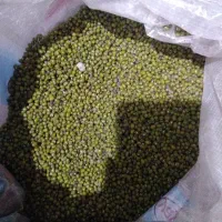 ماش|خوردنی و آشامیدنی|اهواز, بیست متری شهرداری|دیوار