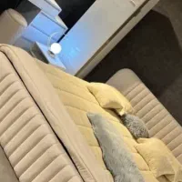 تخت خواب رویایی سازنده وحیدانصاری|تخت و سرویس خواب|یاسوج, |دیوار