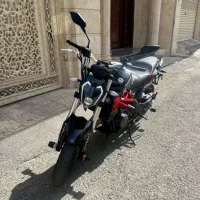 بنلی۳۰۰ جفت