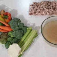 غذای خانگی سگ با مواد تازه