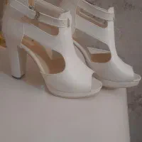 کفش مجلسی|کیف، کفش، کمربند|قائم‌شهر, |دیوار