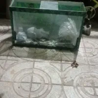 آکواریوم