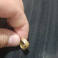 گوشواره گمشده