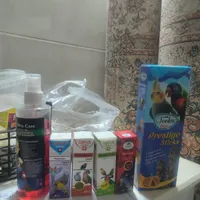 طوطی گرینچیک کاملا رام|پرنده|تهران, جوادیه تهرانپارس|دیوار
