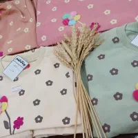 پوشاک گندم|لباس|یزد, |دیوار