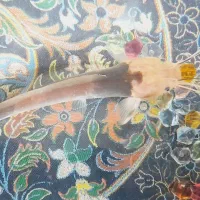 ماهی کت آفریقایی