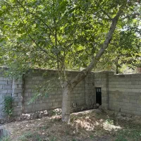 باغ ویلایی در باغشهر اسکو با سند و برق و آب موتور|فروش خانه و ویلا|تبریز, |دیوار