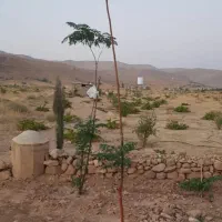 باغ انگور ۳۶۰ متری