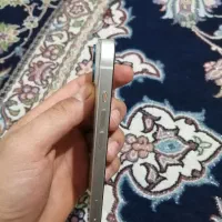 آیفون 13 نرمال|موبایل|تهران, اسکندری|دیوار