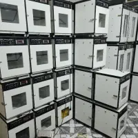 ماشین  ۰  ۰Randoman bali.    جوجه*      کشی/