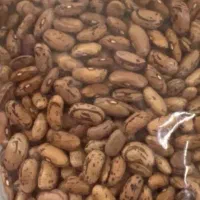 حبوبات فله|خوردنی و آشامیدنی|مشهد, ده دی|دیوار