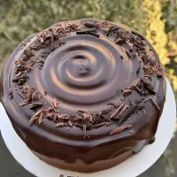 تولید و توزیع انواع کیک کافه ایی