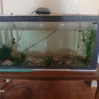 اکواریوم بزرگ